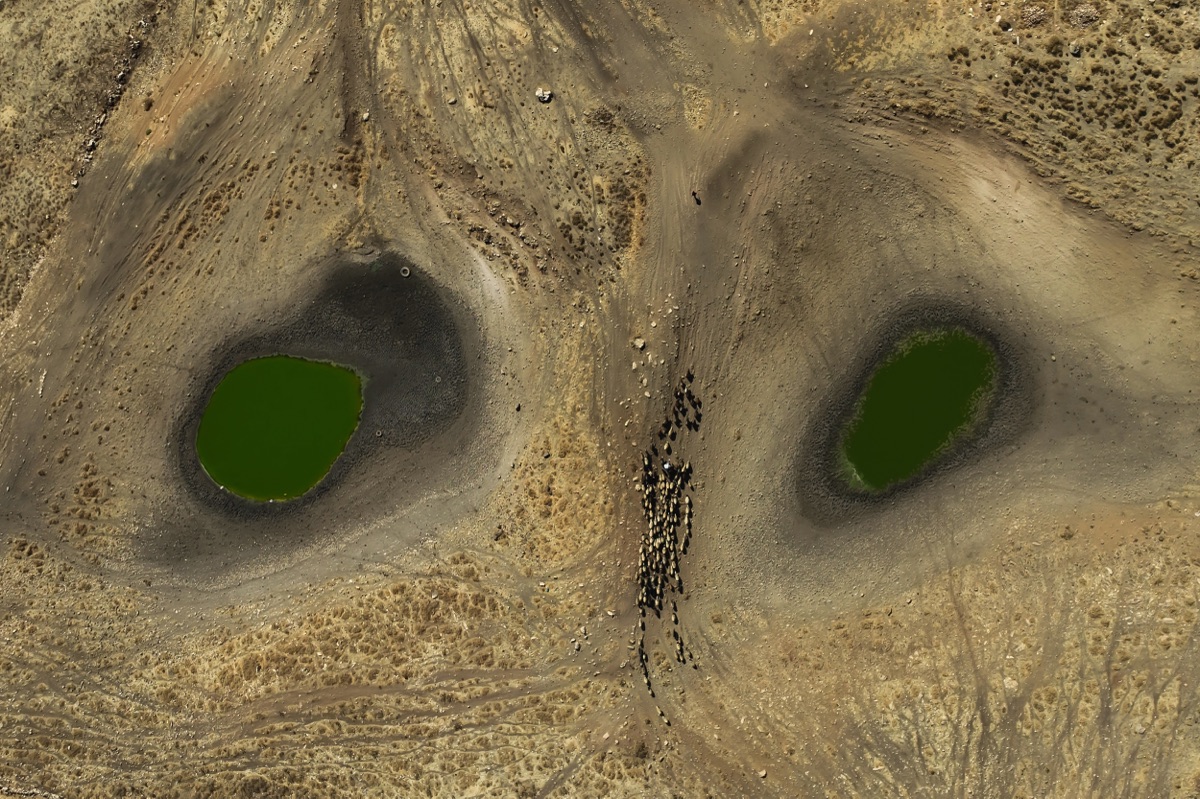 10. Küresel İklim Değişikliği Fotoğraf Yarışması’nda kazananlar belli ol 1