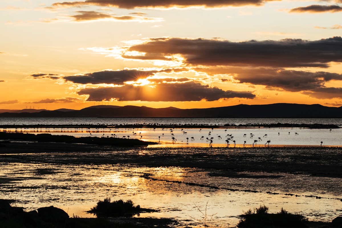 Türkiye ve Slovenya kuraklıkla birlikte mücadele edecek 3