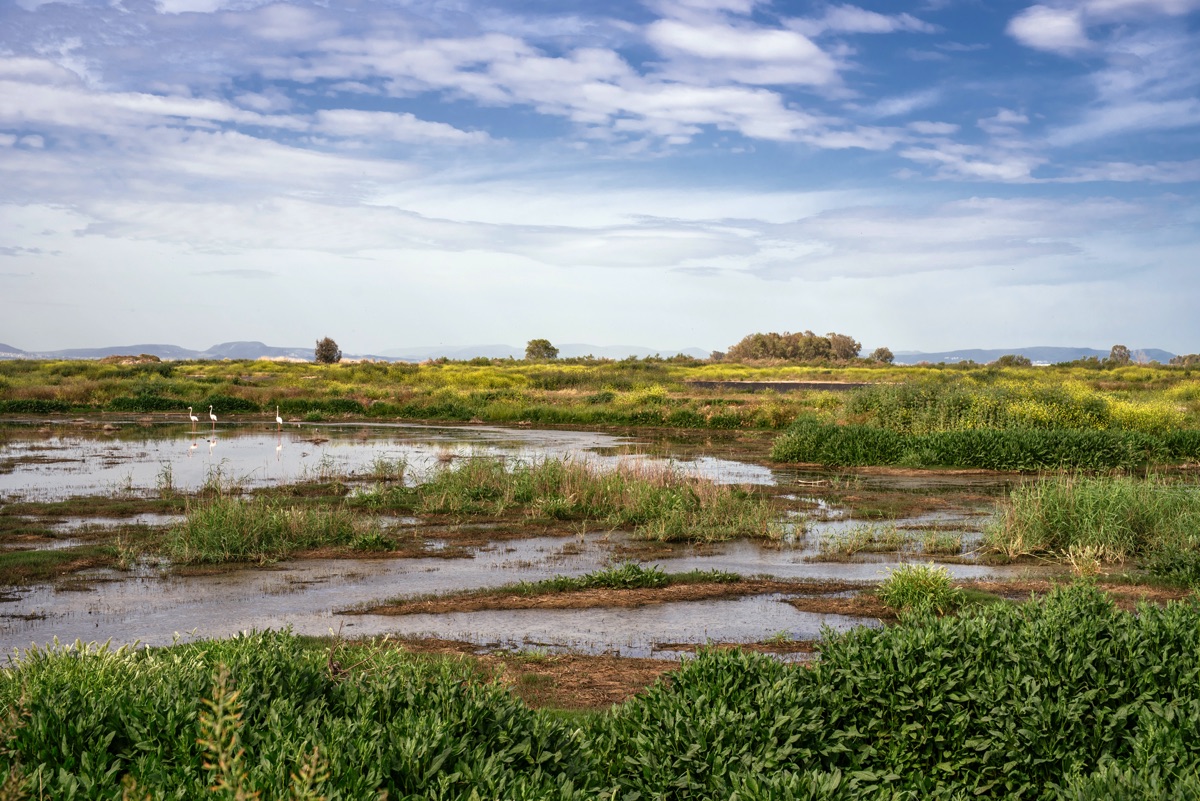 Türkiye ve Slovenya kuraklıkla birlikte mücadele edecek 5