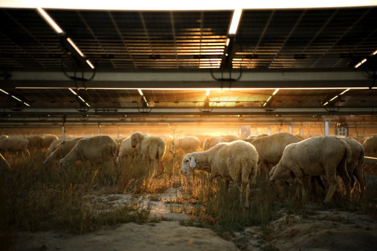 Karapınar RES iklim değişikliğiyle mücadele ediyor 1