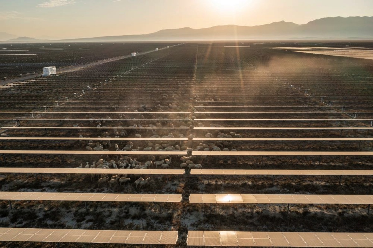 Karapınar RES iklim değişikliğiyle mücadele ediyor 4
