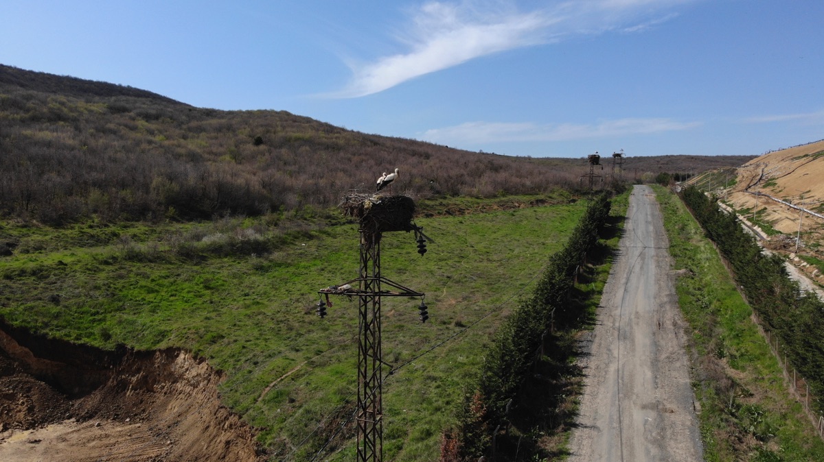 TREDAŞ leylek yuvalarını hazırladı 3