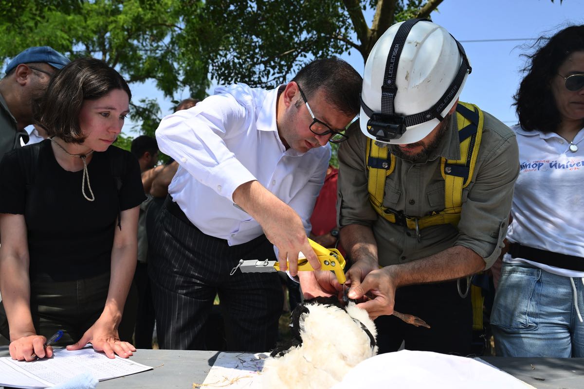 Trakya’nın Kuşları Halkalanıyor 5