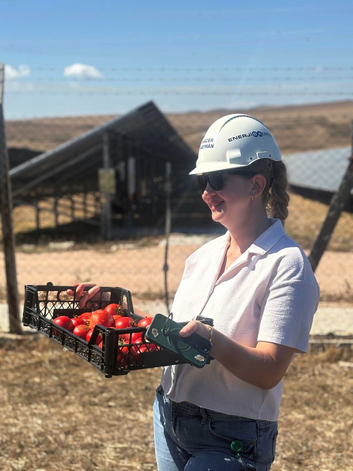 Güneş panelleri gölgesinde 5 ton hasat 5