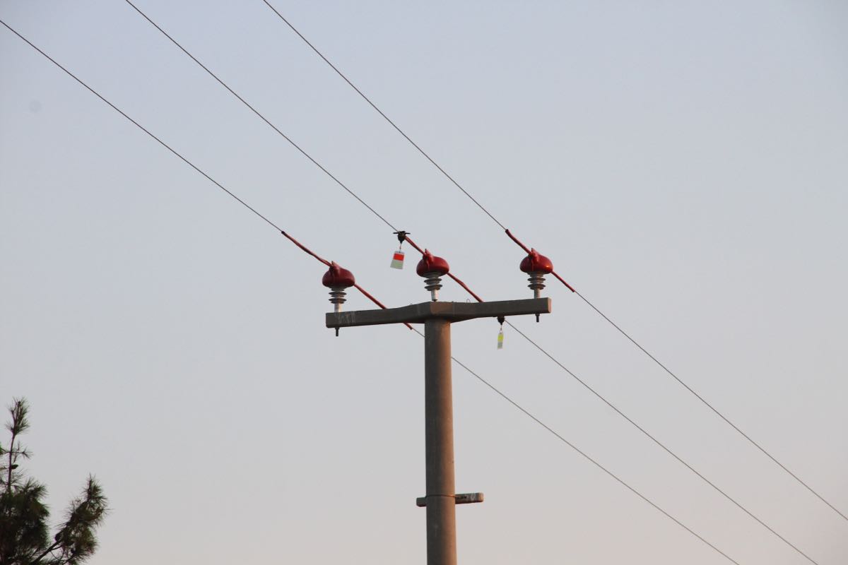 Kuş göç yollarında hayat kurtaran adım 3