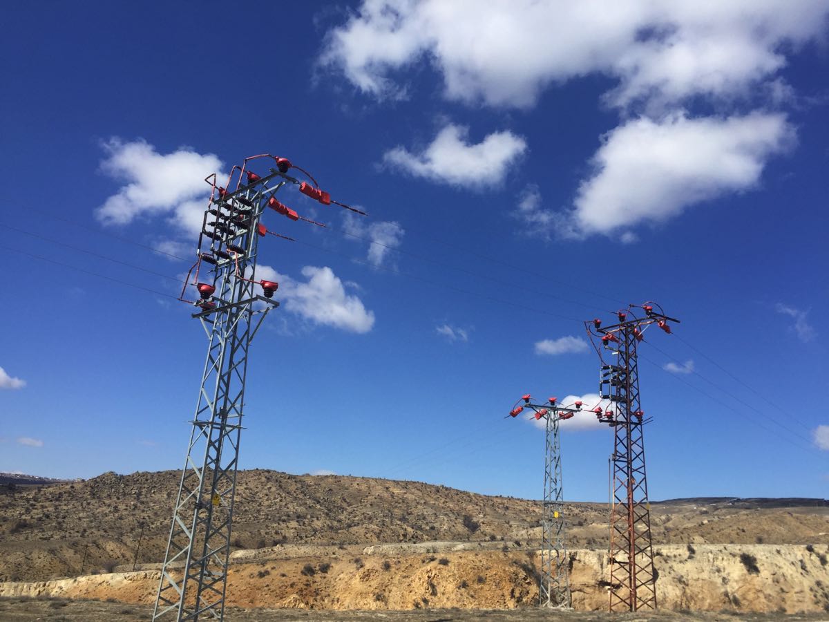 Kuş göç yollarında hayat kurtaran adım 8