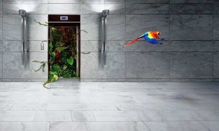 Elektrik kesildiğinde dahi asansör kullanılabilecek