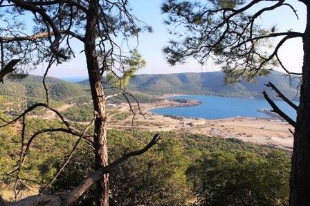 Greenpeace, Akkuyu ÇED raporunu yargıya taşıyacak