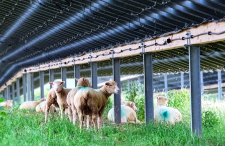 Dünyanın en çevreci GES`i tam kapasite üretimde