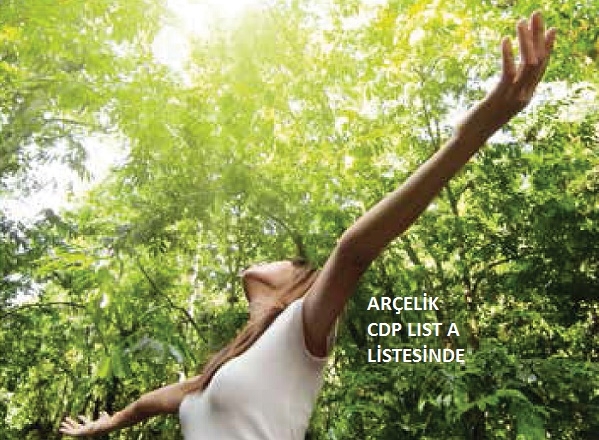 Arçelik CDP Global A listesinde