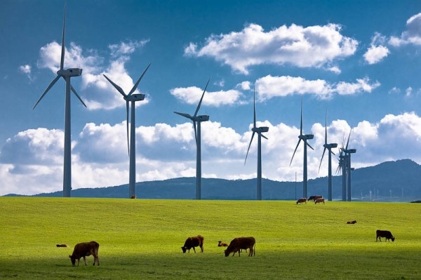 Avrupa elektriğinin yüzde 7.5`u rüzgardan