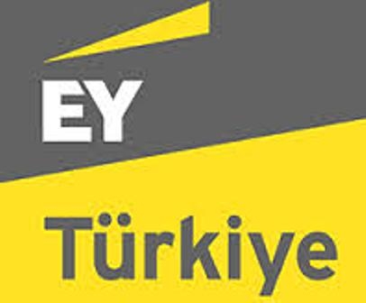 EY Türkiye karbon ayak izini azaltmayı hedefliyor