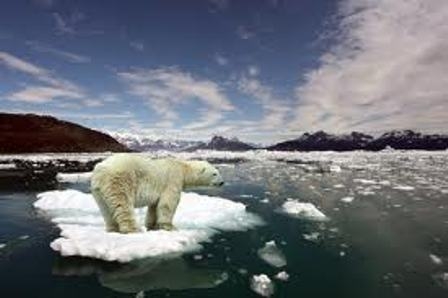 Kutuplarda enerji aramalarına karşı yasa tasarısı
