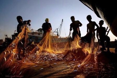 İklim değişikliği balıkçılığı vuracak