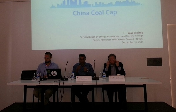 WWF: TR`nin kömür yolu Çin`den farklı