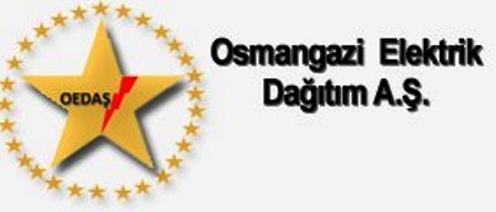 Enel ve Şanghay Osmangazi EDAŞ`a talip