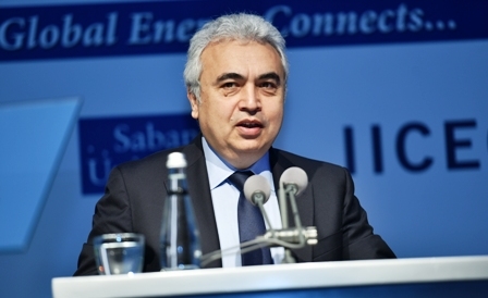 Birol: Petrol yatırımları yüzde 20 azaldı