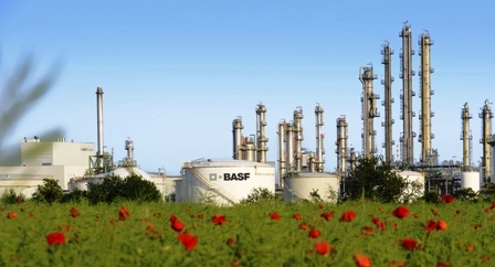 BASF iklim koruma çalışmalarında lider gösterildi