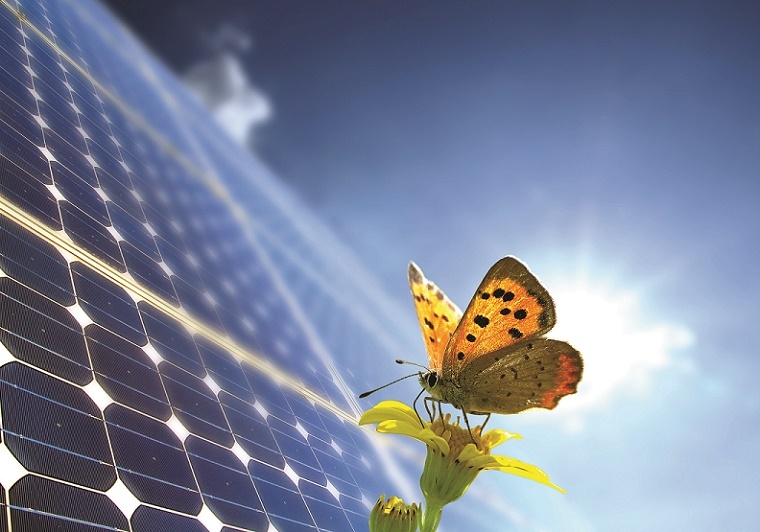 Vefa, güneş enerjisinden elektrik üretecek