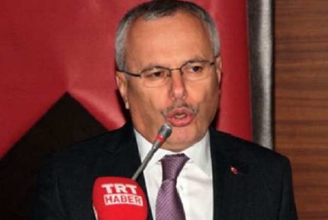 Mehmet Ceylan, Çevre Bakan Yardımcısı
