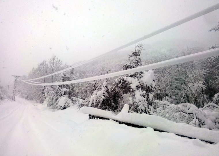 Elektrik şebekesinde kar temizliği