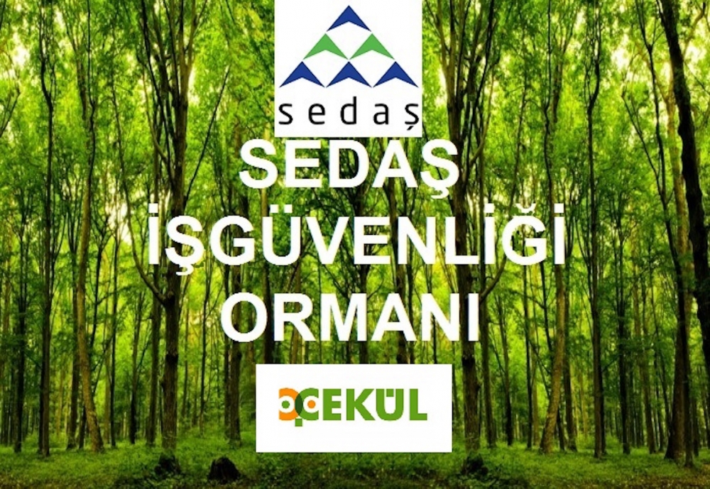 SEDAŞ’tan iş güvenliği ormanı