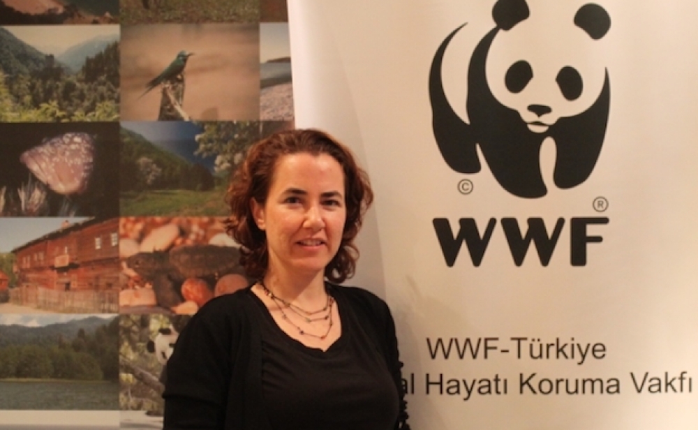 İşte Yeşil Ofis olmanın yolu ve avantajları