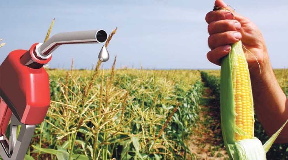 ABD'nin biyodizel üretimi yüzde 20 arttı