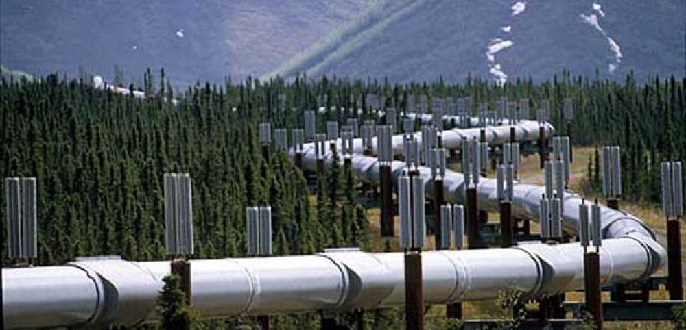 TAP'ın yüzde 20'si tamamlandı