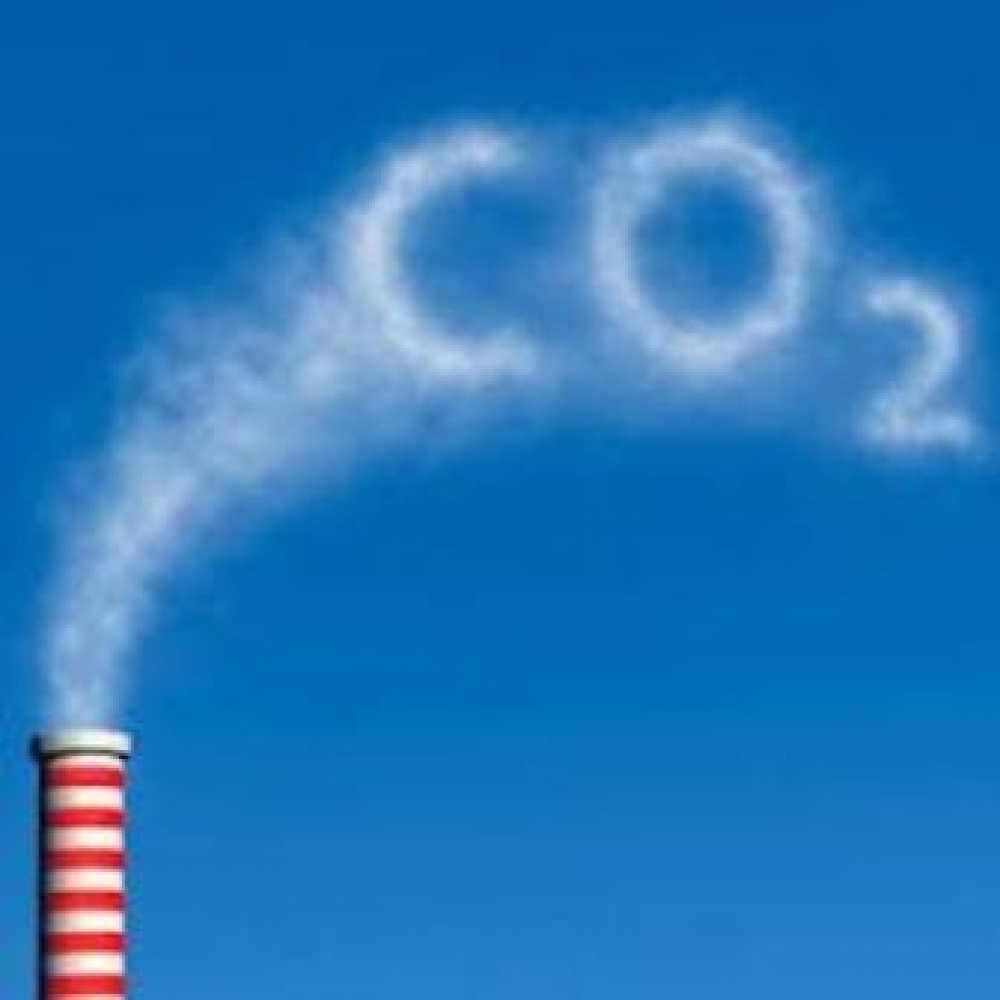 Çin'den şirketlere karbon salımı azaltımı kadar vergi indirimi