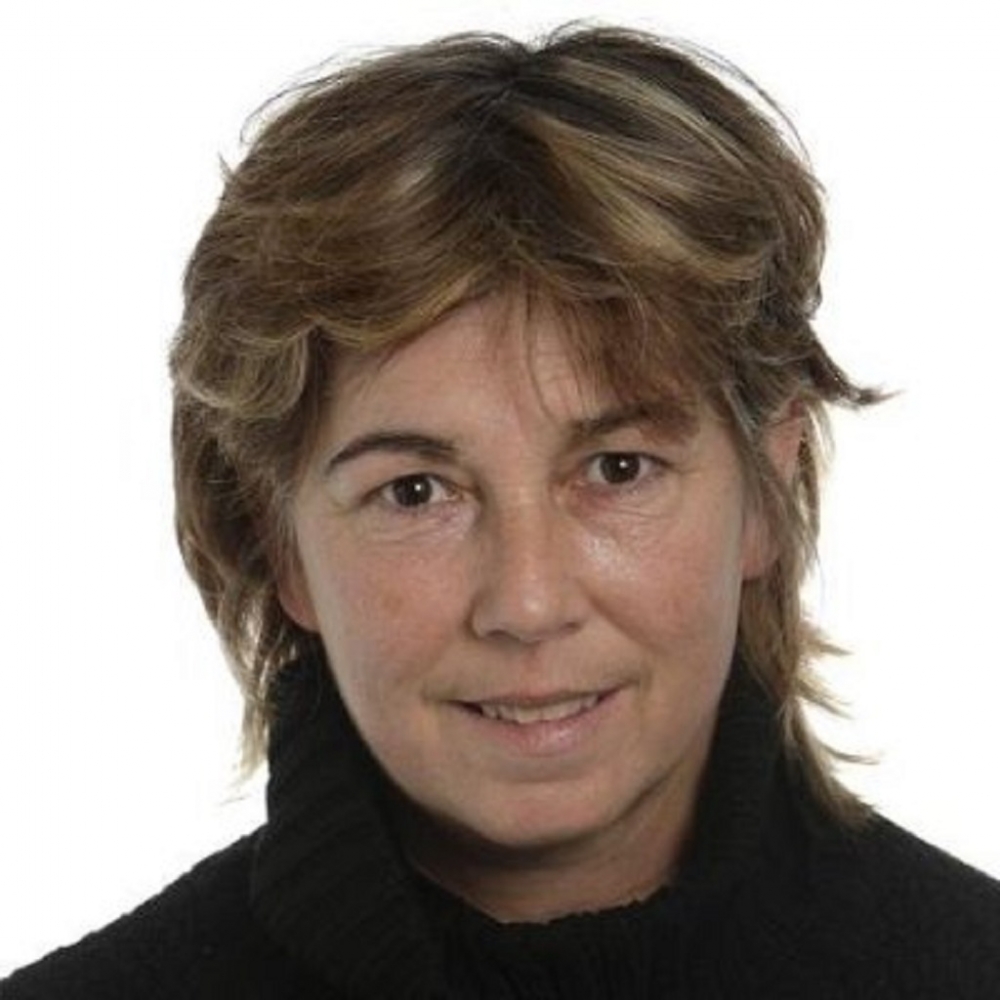 Velte: Güneş elektrik piyasasının kurallarını değiştirecek