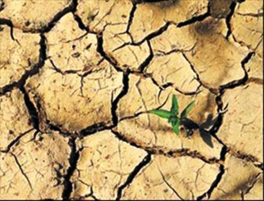 Al Gore: Türkiye’nin yarısı çöl olabilir