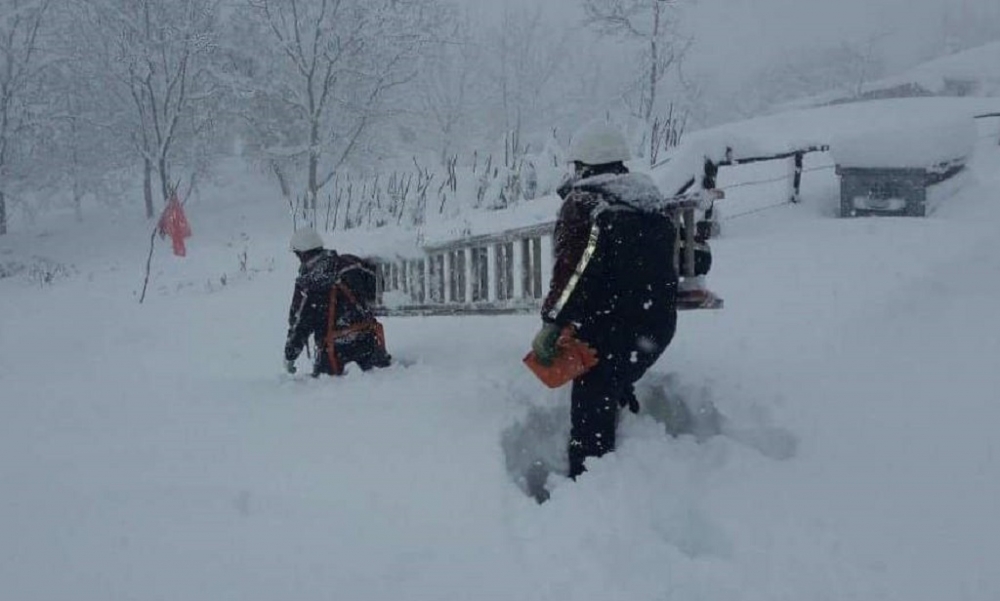 Kesintisiz elektrik için dağıtım şirketleri alarmda