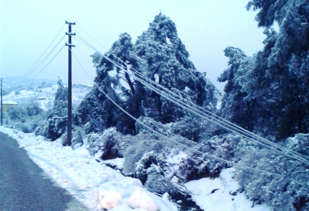 GDZ EDAŞ'tan kış önlemleri