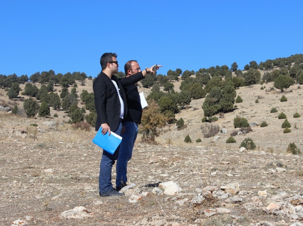 Motorize güneş santrali kurucusu: Akkaşoğlu Grup