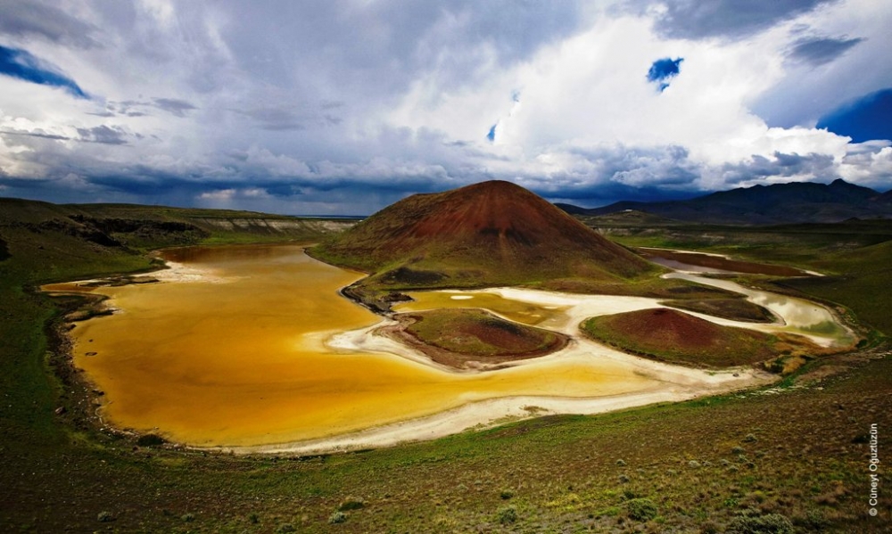 2 Şubat Dünya Sulak Alanlar Günü