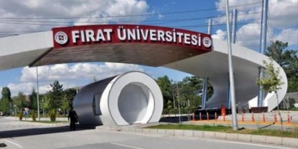 Fırat Üniversitesi elektrik profesörü alacak