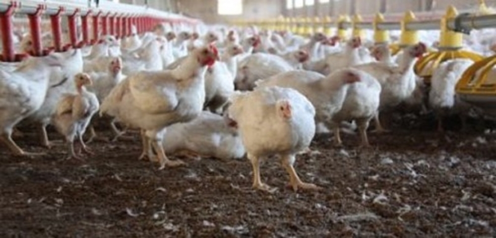 Göynük Biyogaz Tesisi için İDK toplantısı