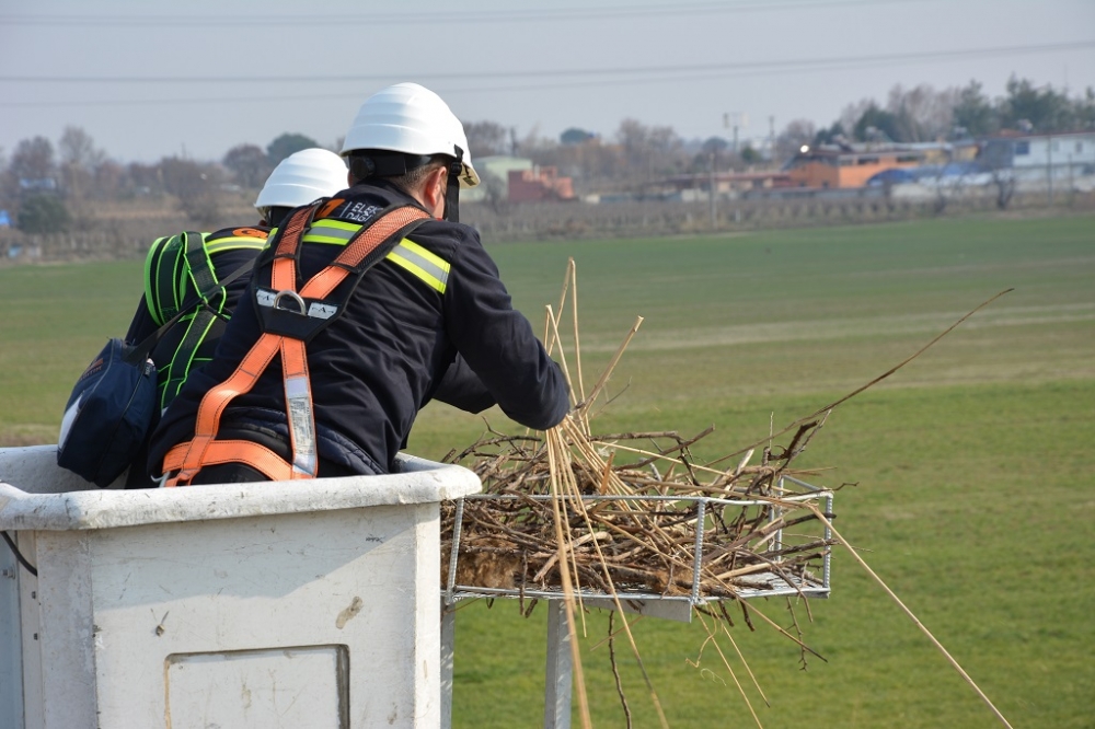 GDZ Elektrik'ten leyleklere özel yuva