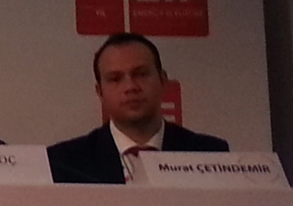 Çetindemir: Biyokütle devlet desteğine muhtaç