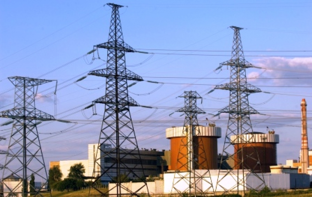 Oğul Enerji Tuzla’ya 7,5 MW’lık biyokütle tesisi kuracak