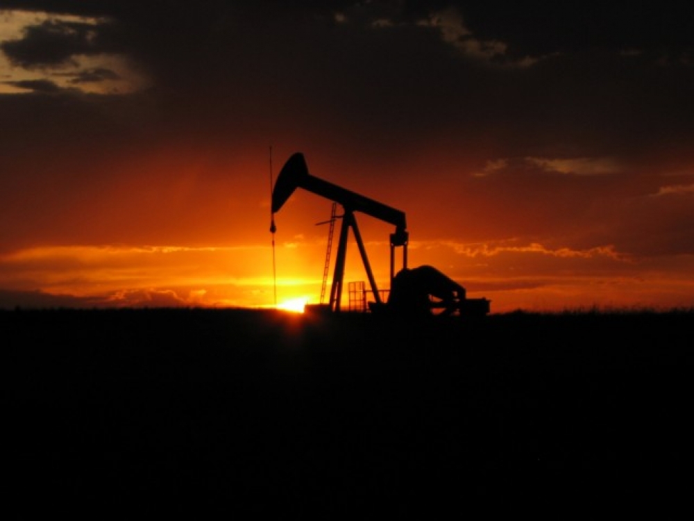 Traoil’den petrol arama başvurusu