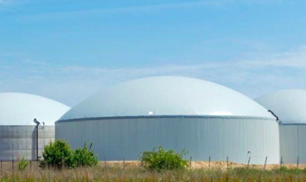 Kırşehir’e 4.8 MW’lik biyokütle santrali