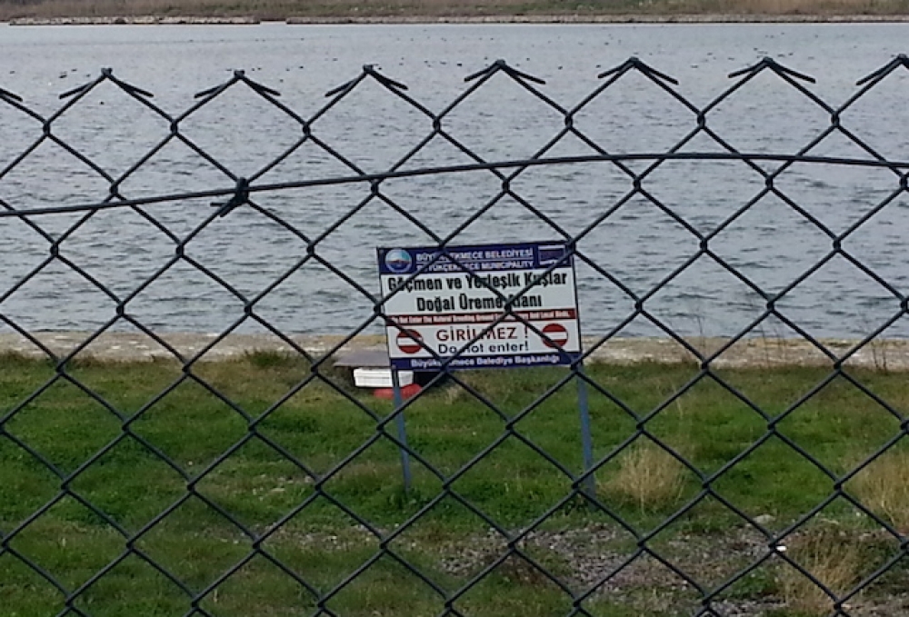 Türkiye’nin önemli doğa ve kuş alanları güncellenecek