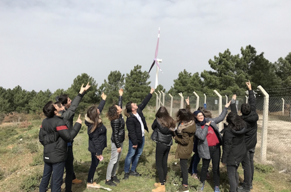 Bereket: Mor boyalı rüzgar türbini kuşları öldürmüyor