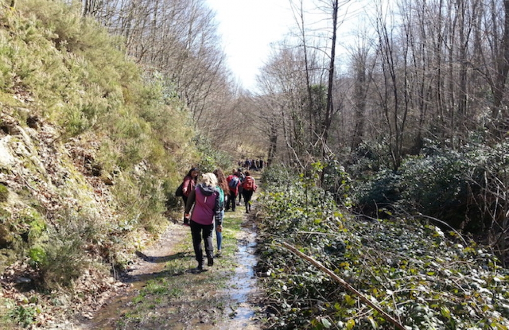 Doğaseverler susuzluk tehdidine dikkat çekmek için yürüdü
