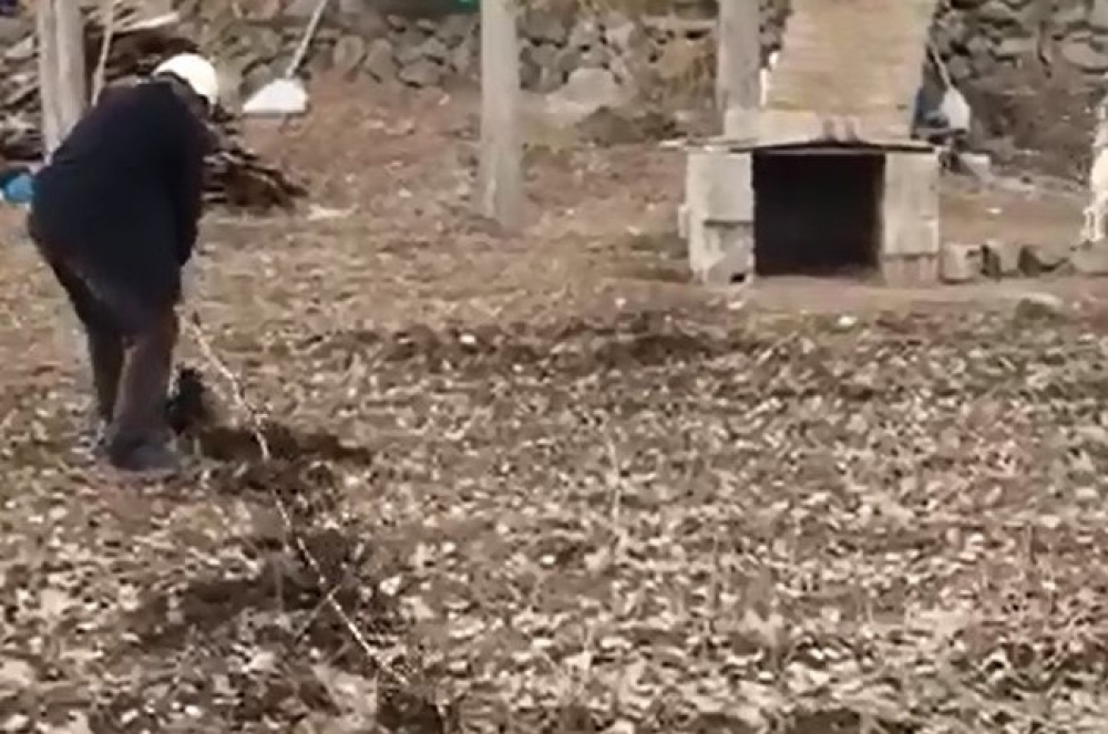 Müftüyü utandıran imam: Kaçak elektrik hattı çekti