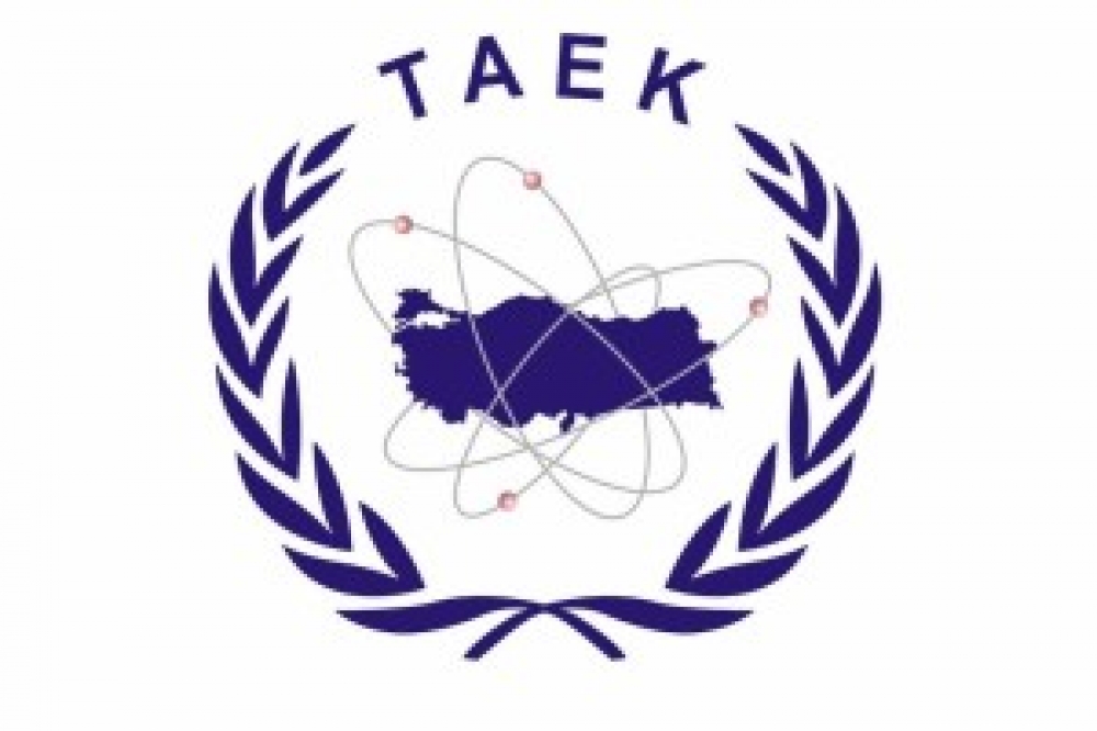 TAEK, Akkuyu’ya inşaat lisansı verdi