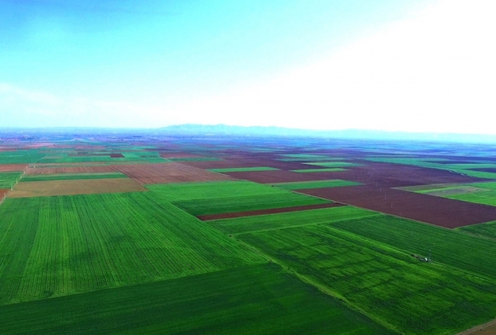 Alpu Termik Santrali’ne ÇED gereksiz kararı iptal edildi