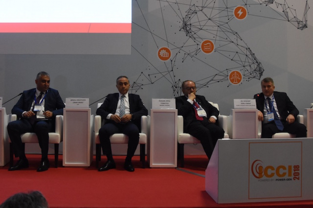 Öztürkmen: TR’nin ihtiyacı dengeli enerji portföyü